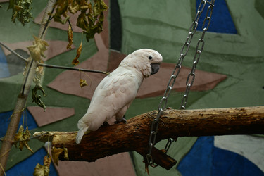 Similar image 21651685