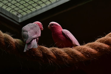 Similar image 21651686