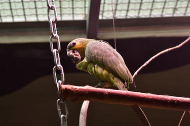 Similar image 21651687