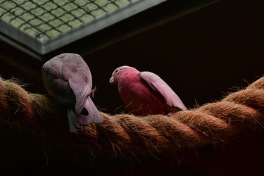 Similar image 21651688