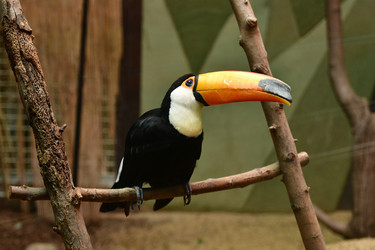 Similar image 21651690