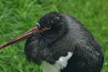 Similar image 21651691