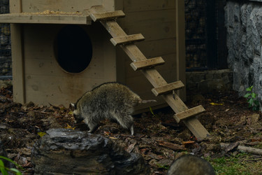 Similar image 21651693