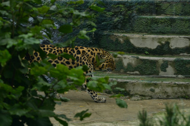 Similar image 21651694