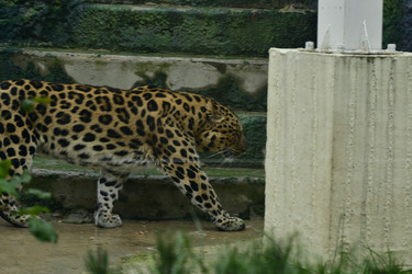 Similar image 21651695