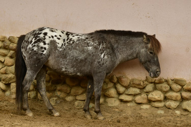 Similar image 21651696