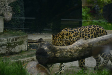 Similar image 21651697