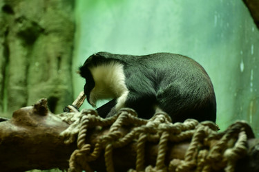 Similar image 21651698