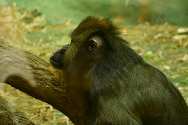 Similar image 21651699