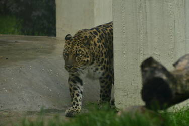 Similar image 21651700