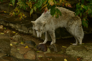 Similar image 21651701