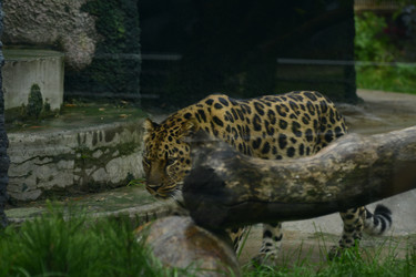 Similar image 21651702