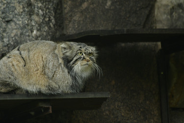 Similar image 21651703