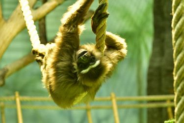 Similar image 21651704