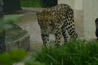 Similar image 21651705