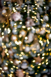 Similar image 21653019