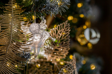 Similar image 21653037