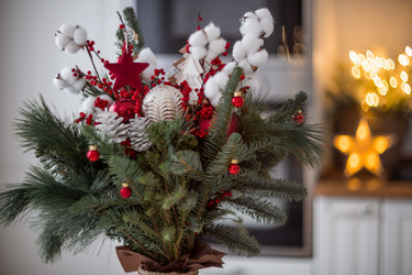 Similar image 21653042