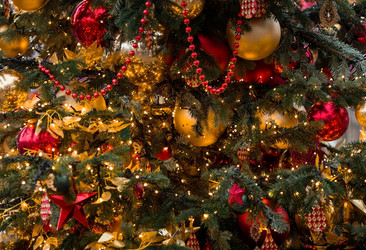 Similar image 21653071