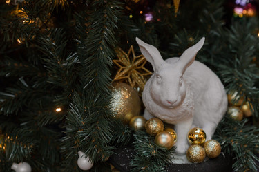 Similar image 21653079