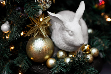 Similar image 21653081