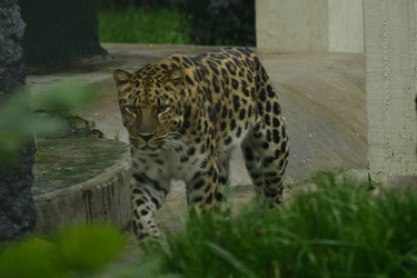 Similar image 21652120