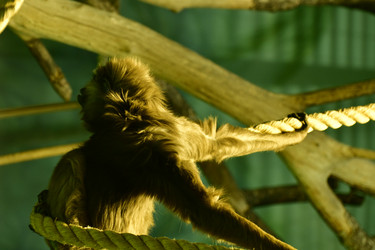 Similar image 21652121