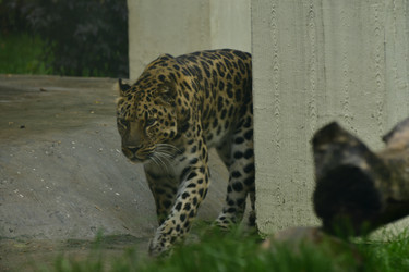 Similar image 21652123