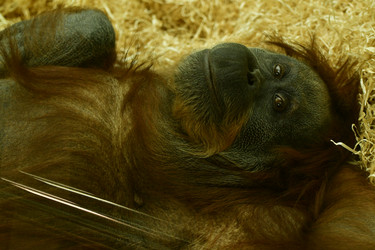 Similar image 21652124