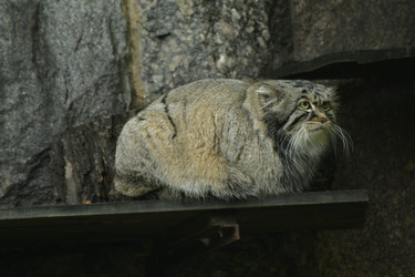 Similar image 21652125