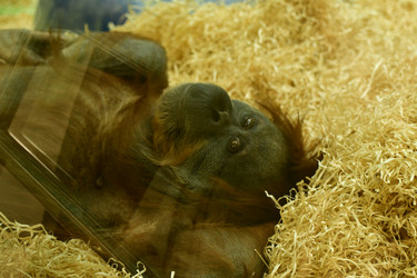 Similar image 21652126