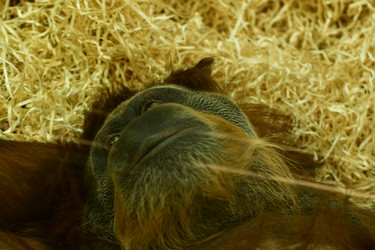 Similar image 21652127