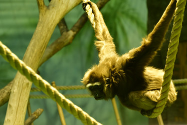 Similar image 21652128