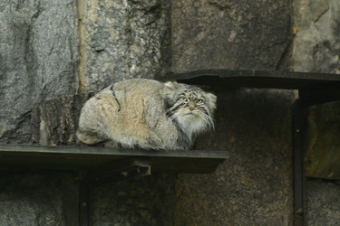 Similar image 21652129