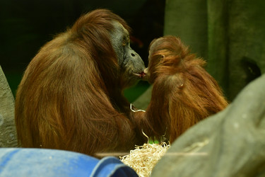 Similar image 21652130