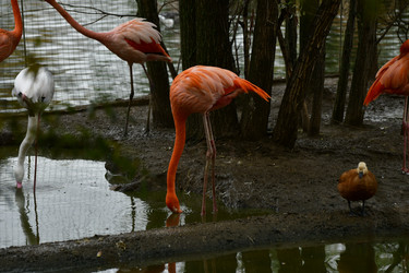 Similar image 21652131