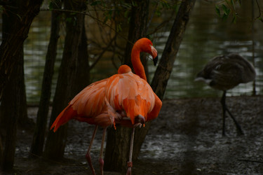 Similar image 21652132