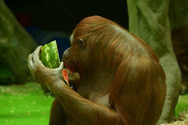 Similar image 21652133