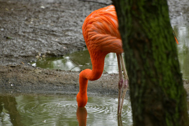 Similar image 21652135