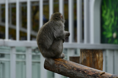 Similar image 21651706