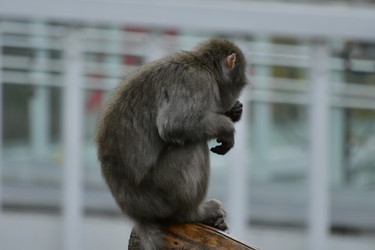 Similar image 21651707