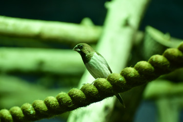 Similar image 21651708