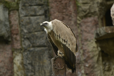 Similar image 21651709