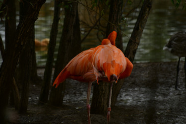 Similar image 21651710