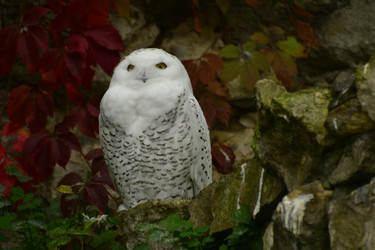 Similar image 21651712