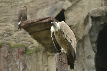 Similar image 21651713