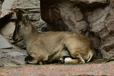 Similar image 21651714