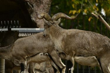 Similar image 21651715