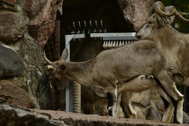 Similar image 21651716