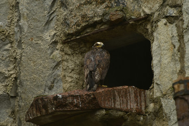 Similar image 21651717